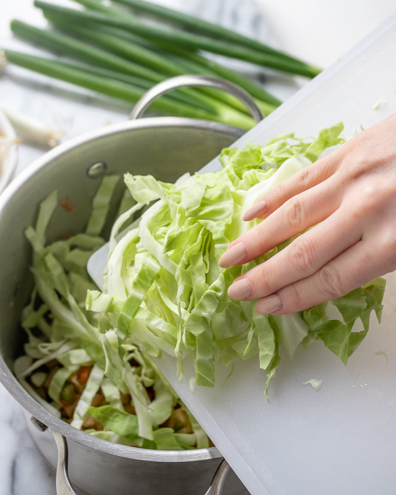 Vegetarian Egg Roll Soup 🍜 {Low Carb & Vegan!} Inspector