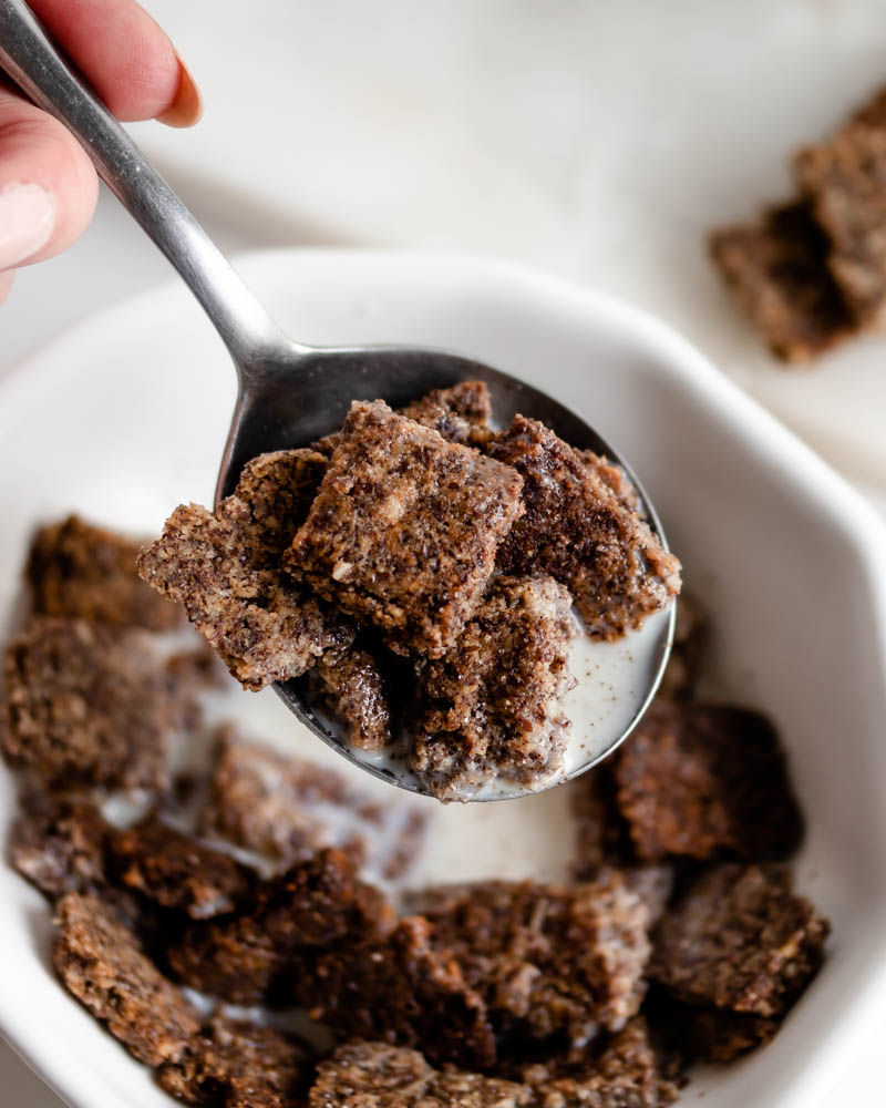 Crispy Cinnamon Flax Cereal! {Low Carb & Gluten Free} Inspector