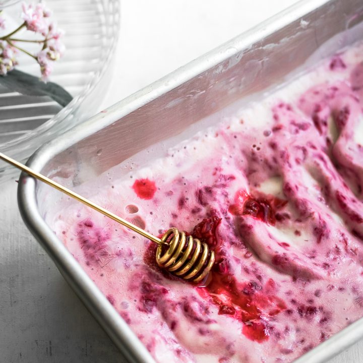 Low Carb Roasted Raspberry Froyo